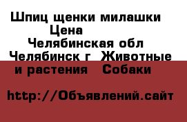 Шпиц щенки милашки › Цена ­ 8 000 - Челябинская обл., Челябинск г. Животные и растения » Собаки   